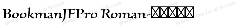 BookmanJFPro Roman字体转换